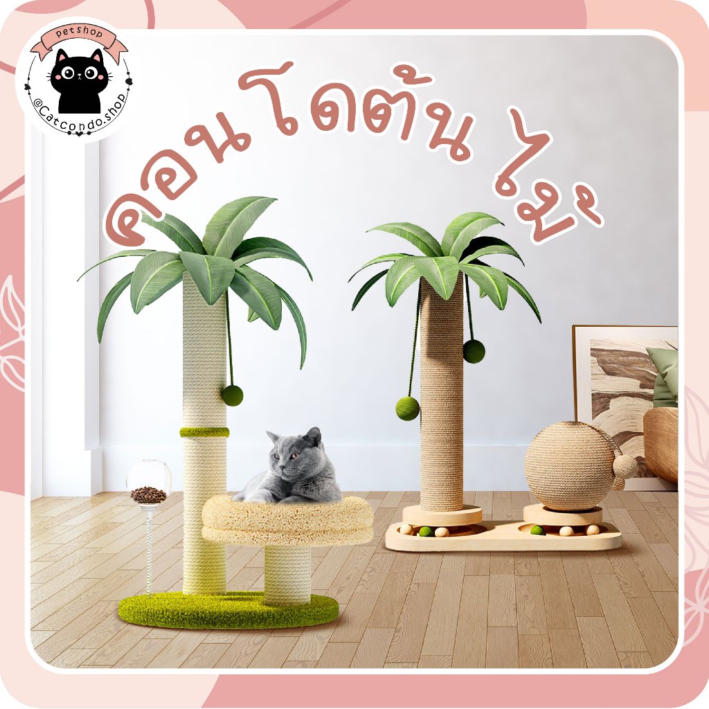 คอนโดต้นไม้แมว: ที่ลับเล็บ ของเล่น และมุมโปรดใหม่สำหรับเจ้านาย