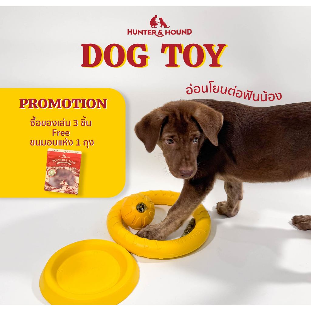 Hunter&Hound ของเล่นน้องหมา ลูกบอล จานร่อน ห่วงยาง ปลอดภัยต่อฟัน Dog Toy