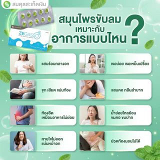 Ze-Gasso สมุนไพรช่วยย่อยอาหาร ลดอืด จุก เสียด แน่นเฟ้อ | ขับลมหลังอาหาร | 1 แผง (10 เม็ด)