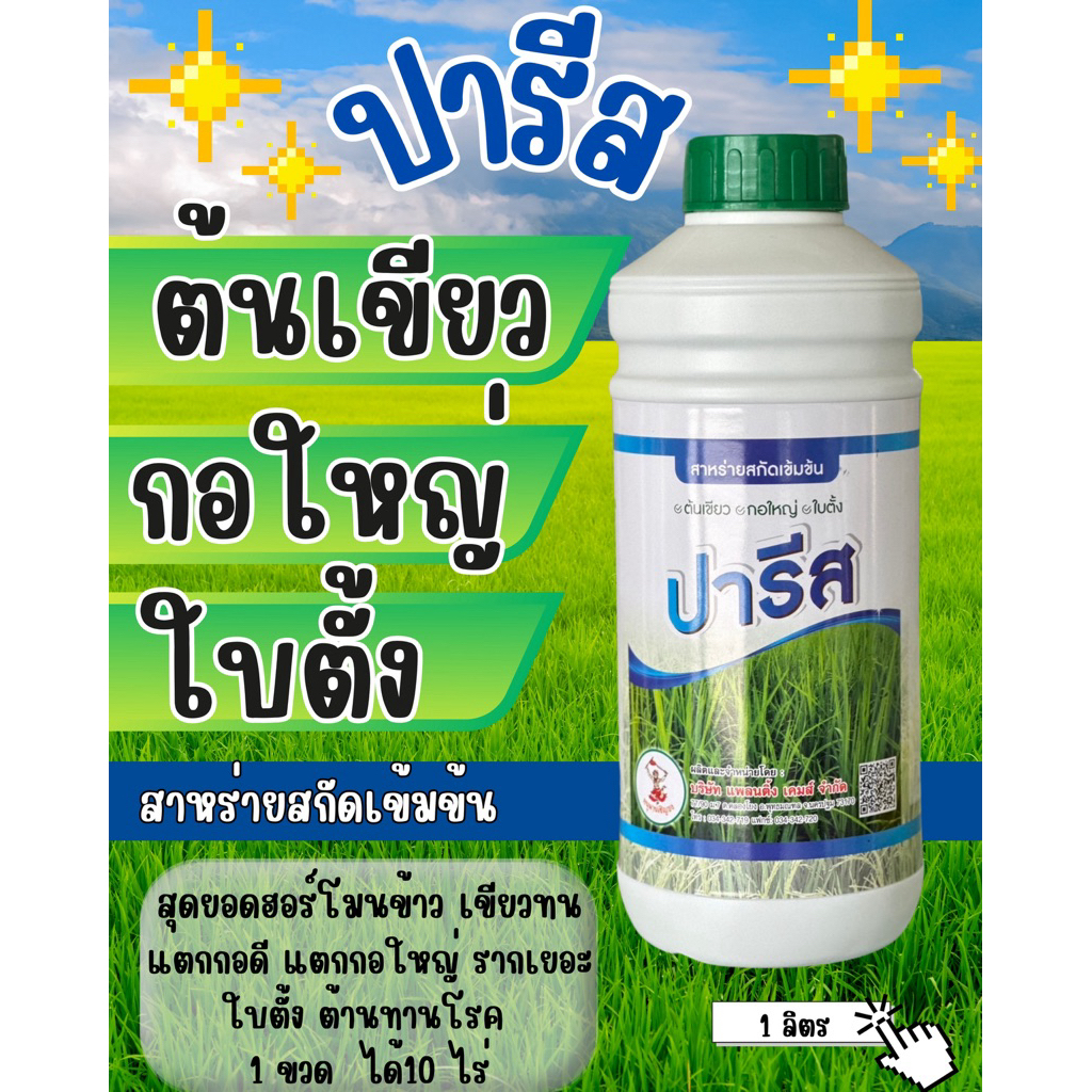 (รักษ์เกษตร)☘️ ปารีส☘️ สาหร่ายสะกัดเข้มข้น ช่วยข้าวแตกกอ ต้นเขียว ใบตั้ง ขนาด 1 ลิตร