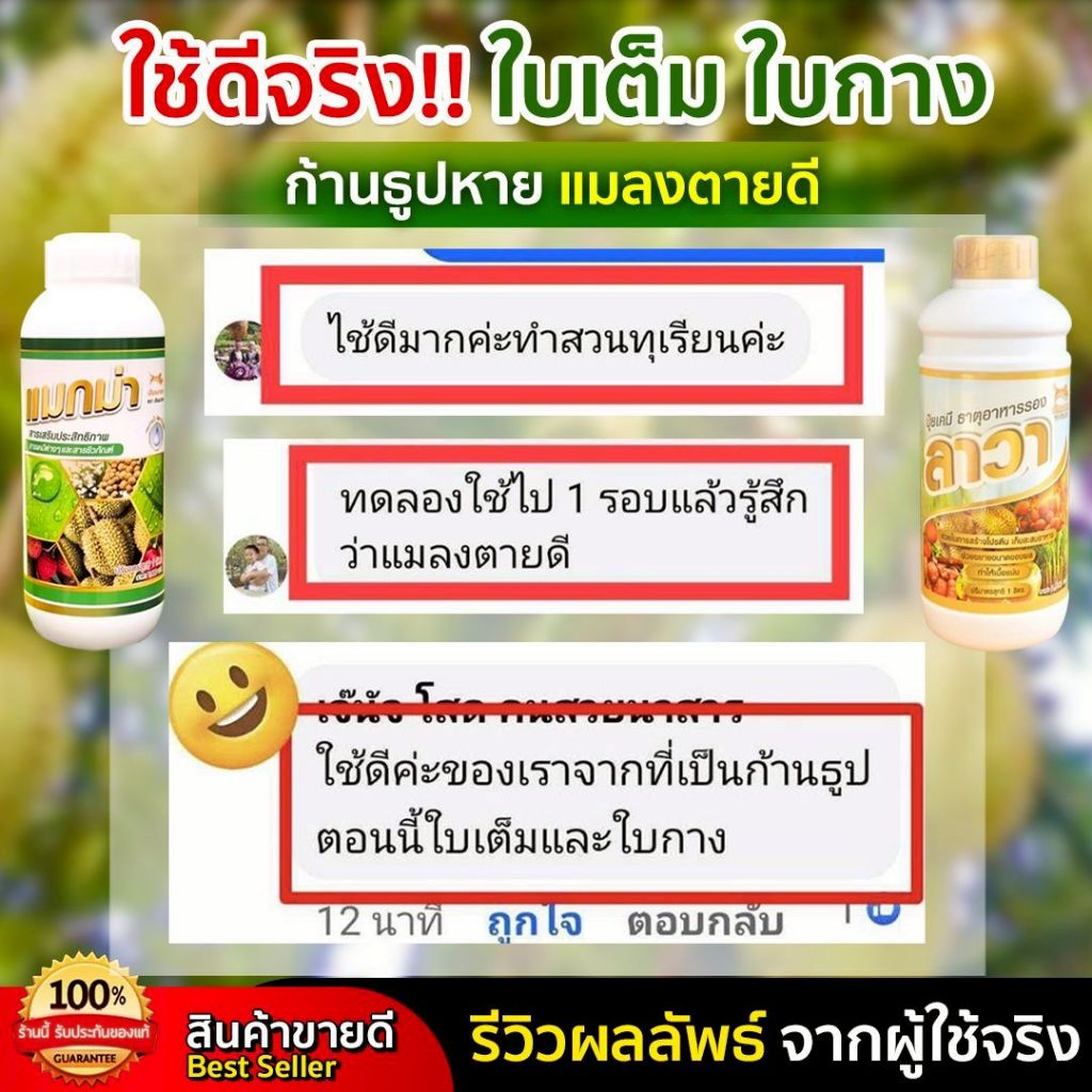 ปุ๋ยน้ำลาวา 1 ขวด ปริมาณขวดละ 1 ลิตร - รูปที่ 3