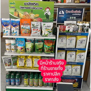 ปุ๋ยทางใบ 0-0-60 ชาลีเฟรท ปุ๋ยเกล็ด เพิ่มน้ำหนัก เนื้อฟู ละลายดี ของใหม่ โพแทสเซียมคลอไรด์