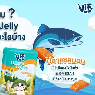 [ยกลัง 48 ซอง] VIF Felina Canino อาหารเปียกแมว เกรดพรีเมี่ยม แบบซอง 75 กรัม ไม่เติมเกลือ-สำหรับแมวทุกสายพันธุ์