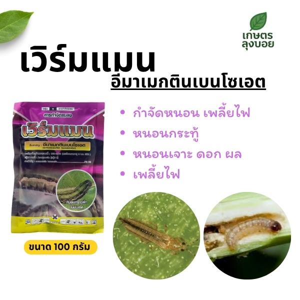 เวิร์มแมน กำจัดหนอน เพลี้ยไฟ ขนาด 100 กรัม