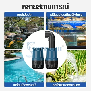 ปั๊มน้ำบ่อปลาLP/DPประหยัดไฟ แรงดันสูง น้ำไหลแรง เงียบ สำหรับบ่อปลาน้ำตกระบบกรอง