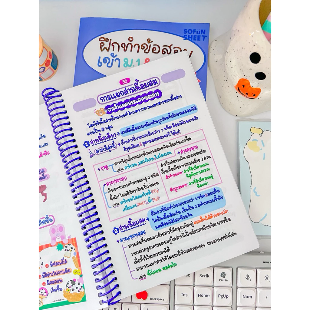 ชีทสรุปสอบเข้าม.1 แถมข้อสสอบฟรี!!(5วิชาใน1เล่ม) ขนาดA5"สอบเข้าม.1เเละO-NET" Byพี่จุฬา 📌ดูเนื้อหา&ลองอ่านก่อนสั่ง✨ thumbnail 8
