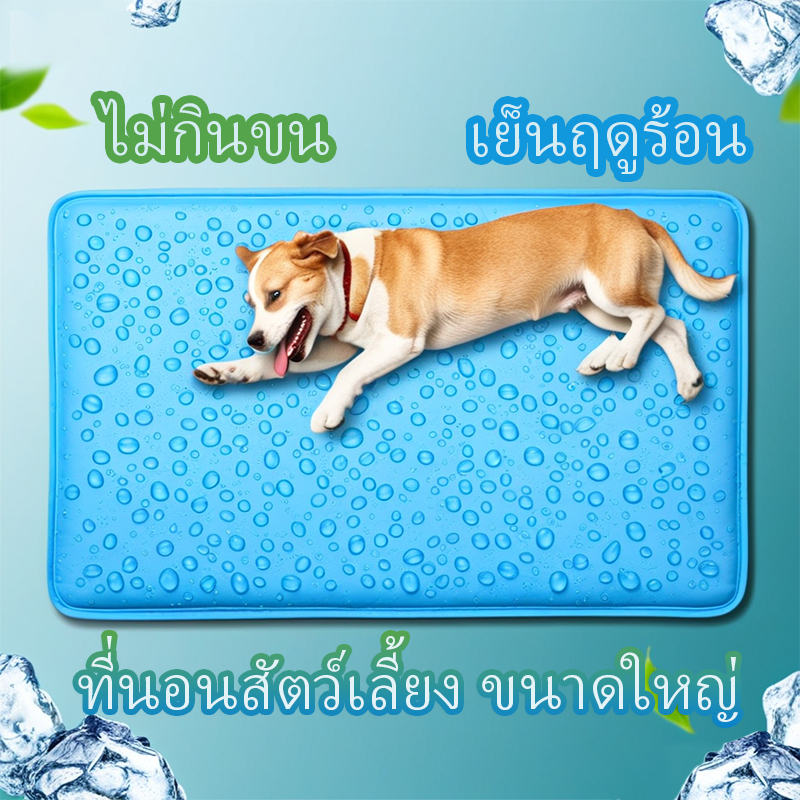 เบาะเจลเย็นสำหรับหมาแมว! ระบายร้อนเร็ว ขนาดใหญ่ – ล้างง่าย ไม่รั่ว ปลอดภัย 100% ❄️🐾- SKB shop