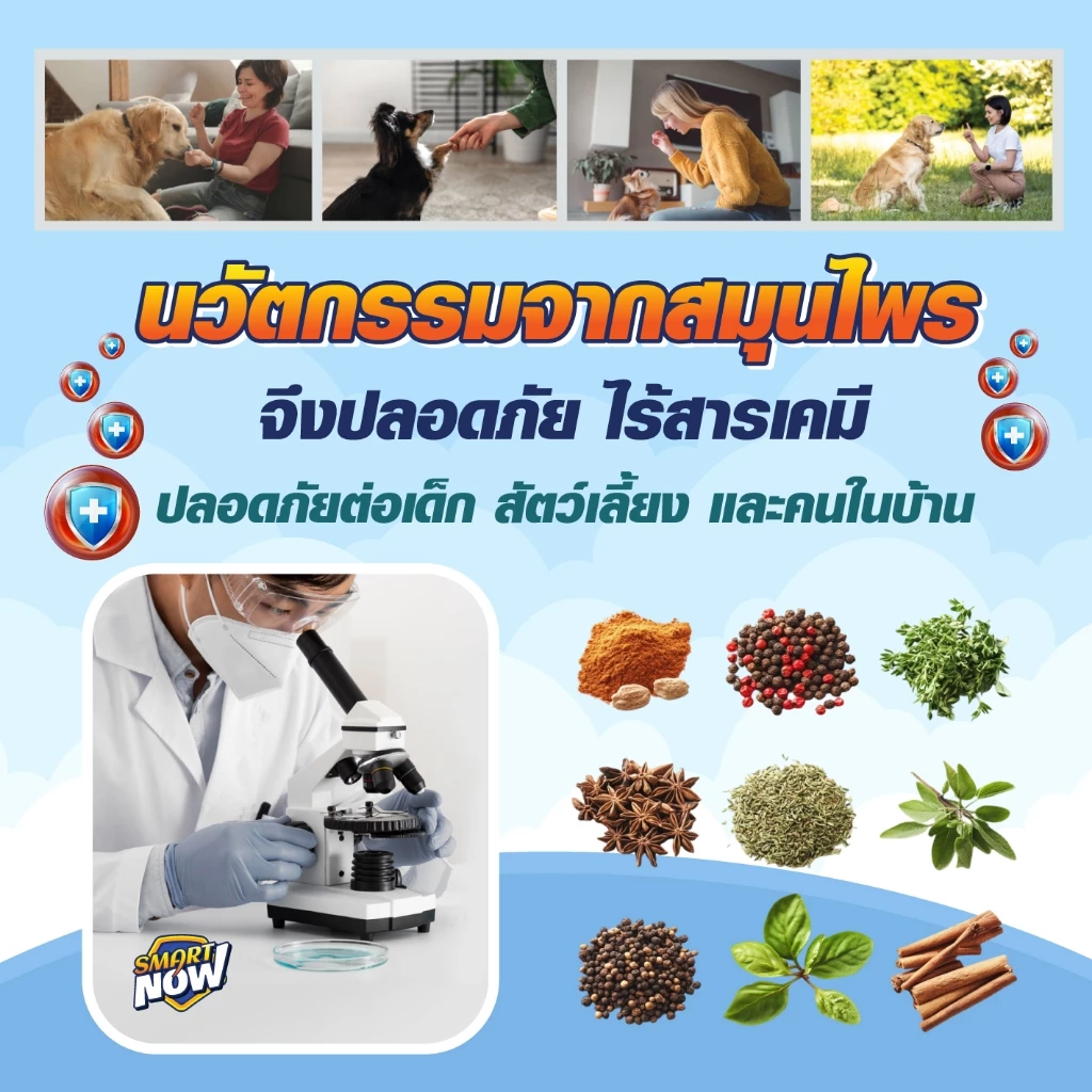 ป้องกันยุงลาย ในบ่อ อ่าง ไม่อันตรายต่อปลา เม็ดป้องกันลูกน้ำ thumbnail 3