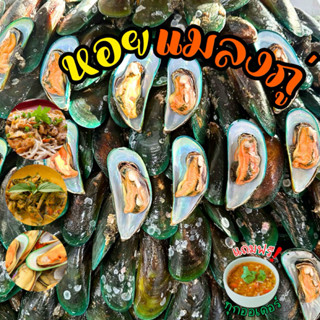 🐚หอยแมลงภู่สดไซส์จัมโบ้+ฟรีน้ำจิ้มซีฟู้ด‼️ เกรดส่งร้านอาหาร …
