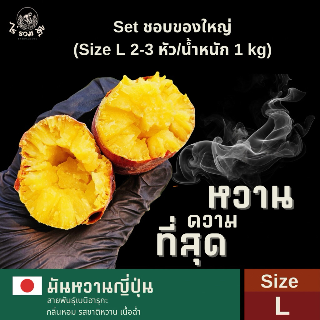 Set ชอบของใหญ่ | Size คละขนาด 4-5 หัว/น้ำหนัก 1 kg มันหวานญี่ปุ่นเบนิฮารุกะ กลิ่นหอม รสชาติหวานฉ่ำ