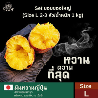 Set ชอบของใหญ่ | Size คละขนาด 4-5 หัว/น้ำหนัก 1 kg มันหวานญี…