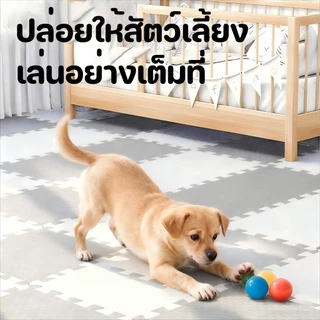 [60 * 60 * 2 ซม.] แผ่นรองพื้นโฟมสำหรับสัตว์เลี้ยงหนาขึ้นแผ่นรองพื้นแบบไม่มีกลิ่นแปลก ๆ รู้สึกสบายและกันน้ำ