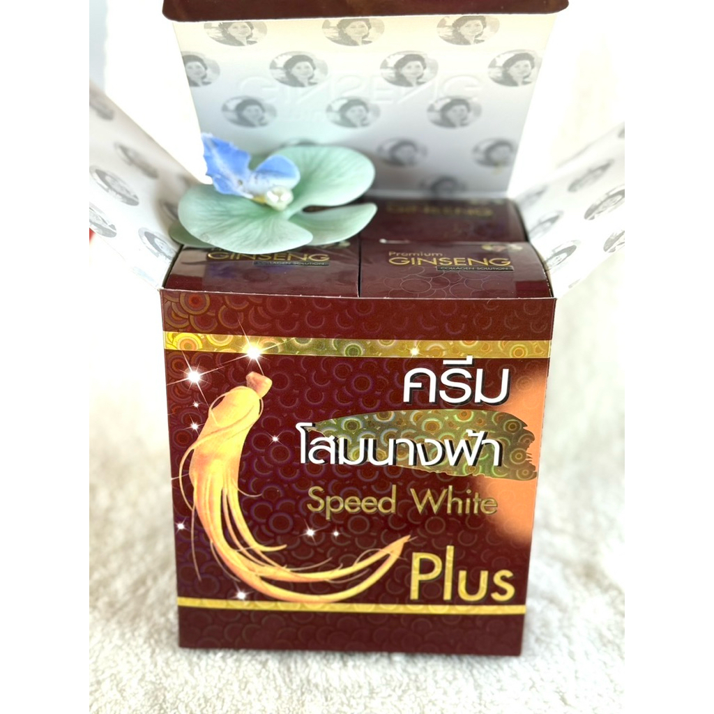 ยกโหล 12 กล่อง ครีมโสม Ginseng Premium Collagen