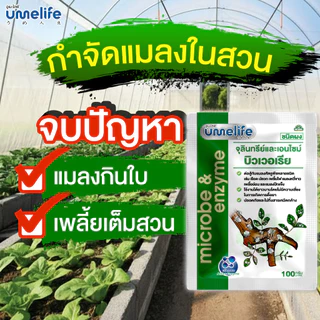 อูเมะไลฟ์ บิวเวอเรีย 100 กรัม กำจัดแมลง ป้องกันแมลงกินใบ ป้องกันใบเหี่ยวจากเพลี้ย กำจัดเพลี้ย