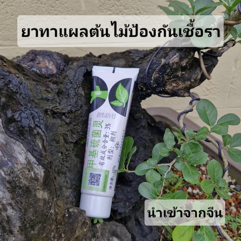 ยาทาแผลต้น เมทิลไทโอฟาเนต ป้องกันเชื้อรา ใช้ได้กับบอนไซและต้นไม้ทั่วไป