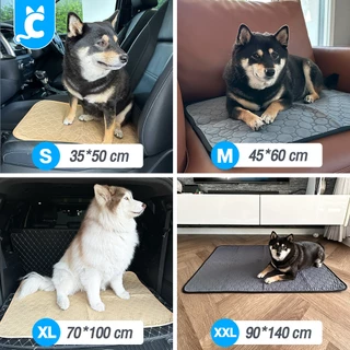 [ส่งฟรี🇹🇭] CleverPet แผ่นรองฉี่สุนัข ผ้ารองฉี่หมา ซักใช้ซ้ำได้ ซึมซับได้ดี มีกันลื่น Dog Pad