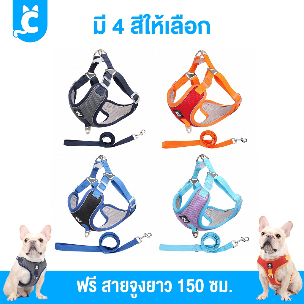 [ส่งฟรี🇹🇭] Duomm สายรัดสุนัข ระบายความร้อน สำหรับหมาและแมว Dog Harness CleverPet รูปที่ 5