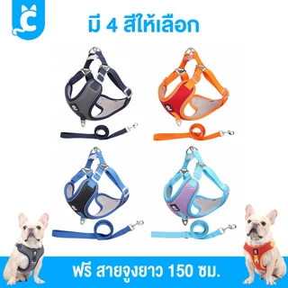 [ส่งฟรี🇹🇭] Duomm สายรัดสุนัข ระบายความร้อน สำหรับหมาและแมว Dog Harness CleverPet