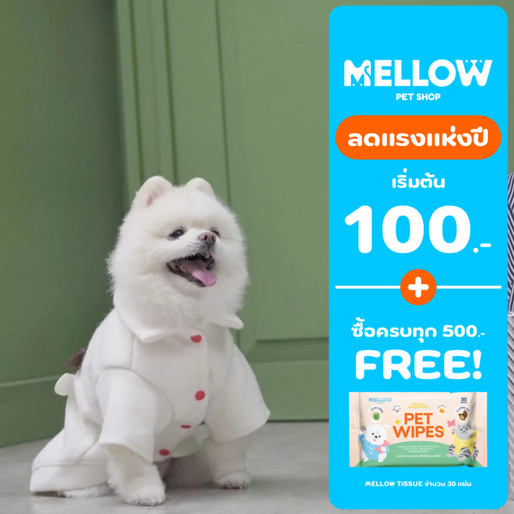 BAMBIE WHITE (สำหรับน้องหมาน้องเเมว)