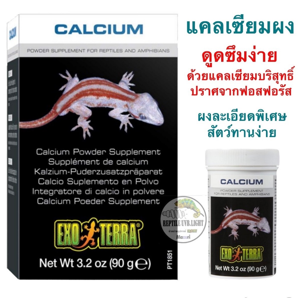 Exoterra แคลเซียมบริสุทธิ์ ปราศจากฟอสฟอรัส สำหรับ เต่า กิ้งก่า ลิง สัตว์เลี้ยงลูกด้วยนม นกทุกชนิด