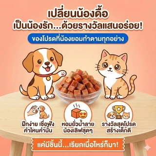 แซลมอนเต๋า อบแห้ง ขนมแมว ขนมสุนัข ขนมหมา กลิ่นหอม ไม่เค็ม ฝึกง่าย แก้เบื่ออาหาร กินแล้วหมาไม่ดื้อ ปลาอบแห้ง