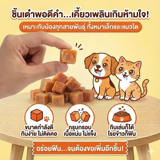 แซลมอนเต๋า อบแห้ง ขนมแมว ขนมสุนัข ขนมหมา กลิ่นหอม ไม่เค็ม ฝึกง่าย แก้เบื่ออาหาร กินแล้วหมาไม่ดื้อ ปลาอบแห้ง
