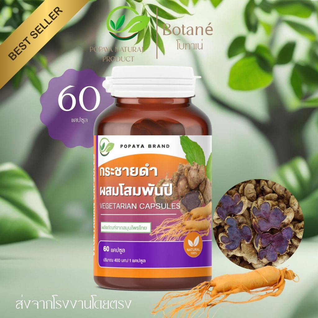 Thai black ginger and ginseng 60 แคปซูล/กระปุก