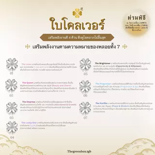 LUCKY CLOVER สร้อยคอ ต่างหู ใบโคลเวอร์นำโชค I เสริมพลัง 2 วัดดัง ตัวเรือนชุบหนาพิเศษ - The Green Box