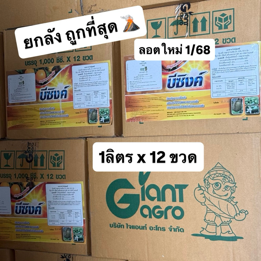 ยกลัง บีซิงค์  Giant Agro สังกะสี กันหนาวในพืช ป้องกันอาการใบแก้ว ใบเหลือง  1ลิตรx12 ขวด