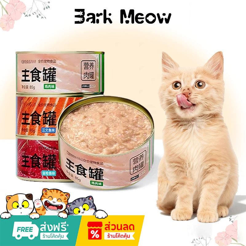 อาหารเปียกแมว สูตรปลาแซลมอน 85 กรัม