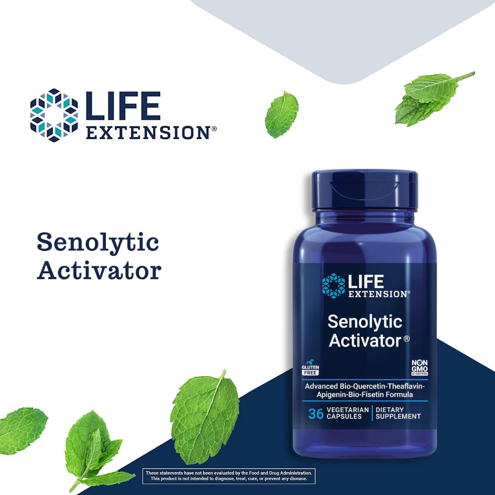 Senolytic Activator สนับสนุนสุขภาพเซลล์ 36 แคปซูล - รูปที่ 1