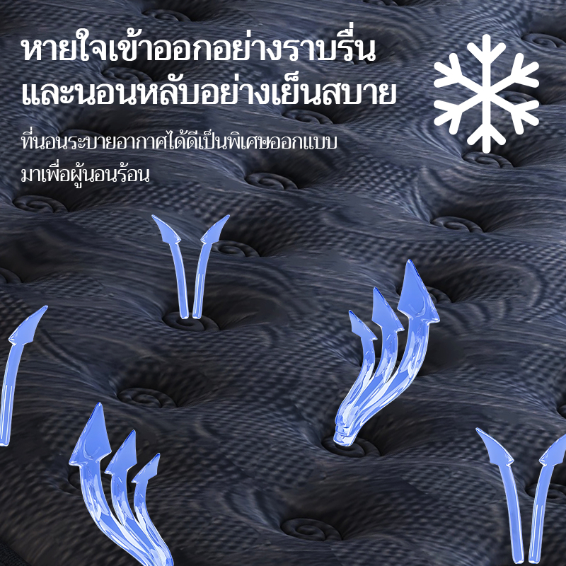 Dreame ที่นอนพ็อกเก็