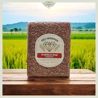 ข้าวสังข์หยด พัทลุงแท้ 100% ขนาด 1 กก. สุญญากาศ | ข้าวกล้องสังข์หยด ข้าวสุขภาพ | ข้าวเพชรกมล