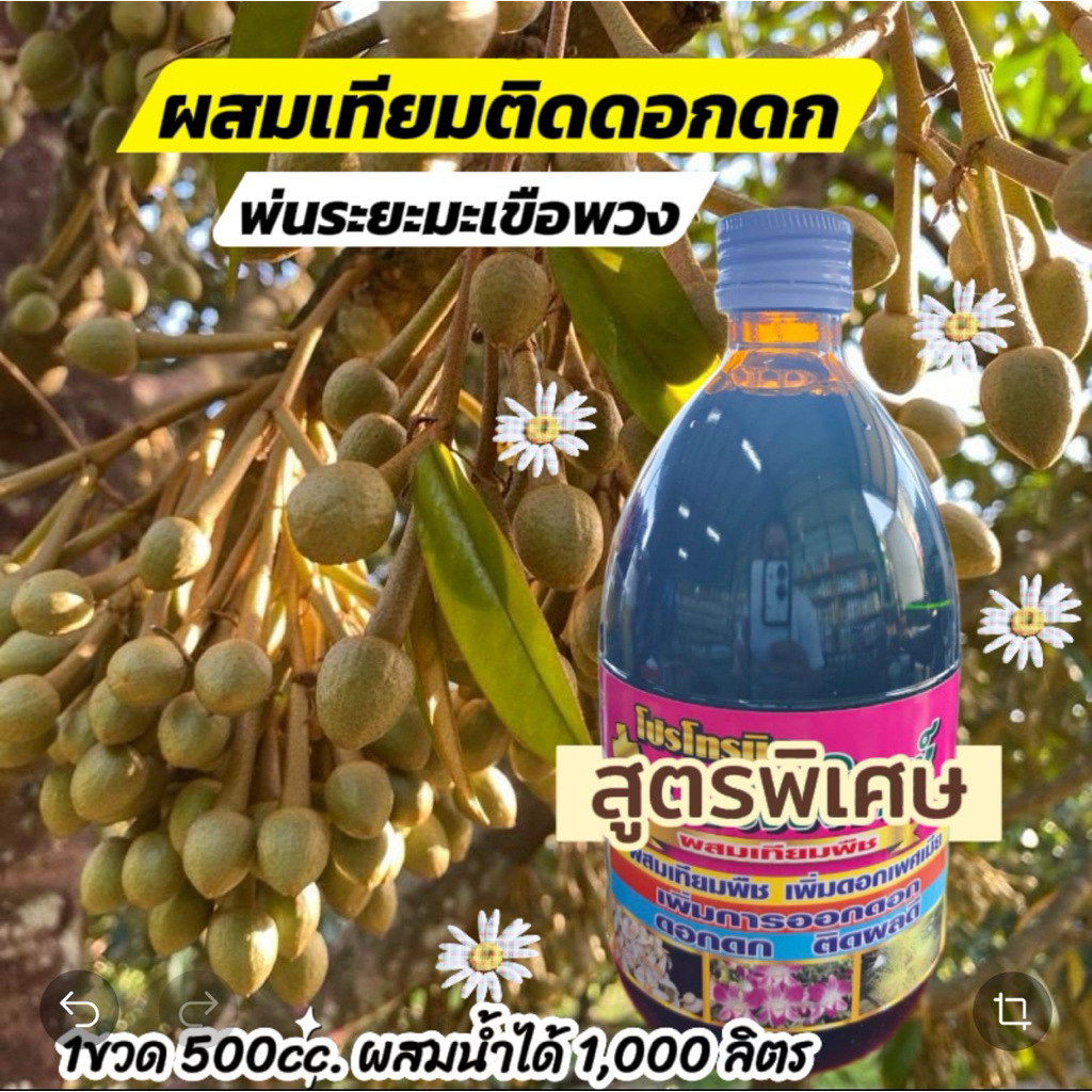 ผสมเทียมติดดก 500ซีซี (ช่วยผสมเทียมพืชให้ติดผลดีขึ้น) ช่วยผสมเกสร ช่วยยืดการผสมเกสรของพืชให้นานขึ้น 
