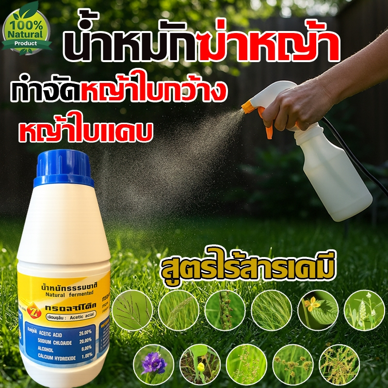 ปลอดภัยต่อสัตว์เลี้ยง(เห็นผลในวัน) กำจัดหญ้า ขวดใหญ่ ชีวภาพ กำจัดวัชพืช ไร้สารเคมี ใช้กำจัดวัชพืชทุกชนิด ยาฆ่าหญ้า