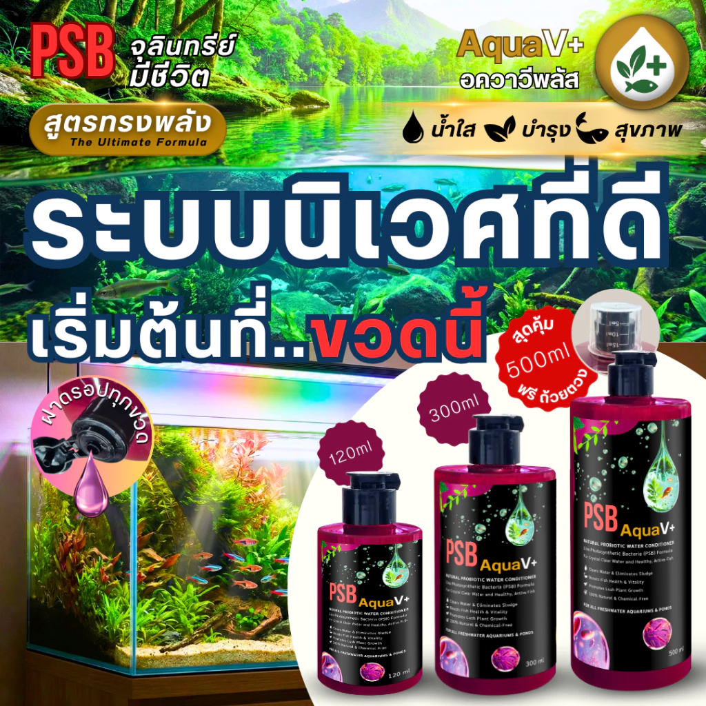 PSB AquaV+ (อควาวี พลัส) จุลินทรีย์มีชีวิต สูตรทรงพลัง น้ำใสสะอาด บำรุงพืช เสริมสุขภาพสัตว์น้ำ