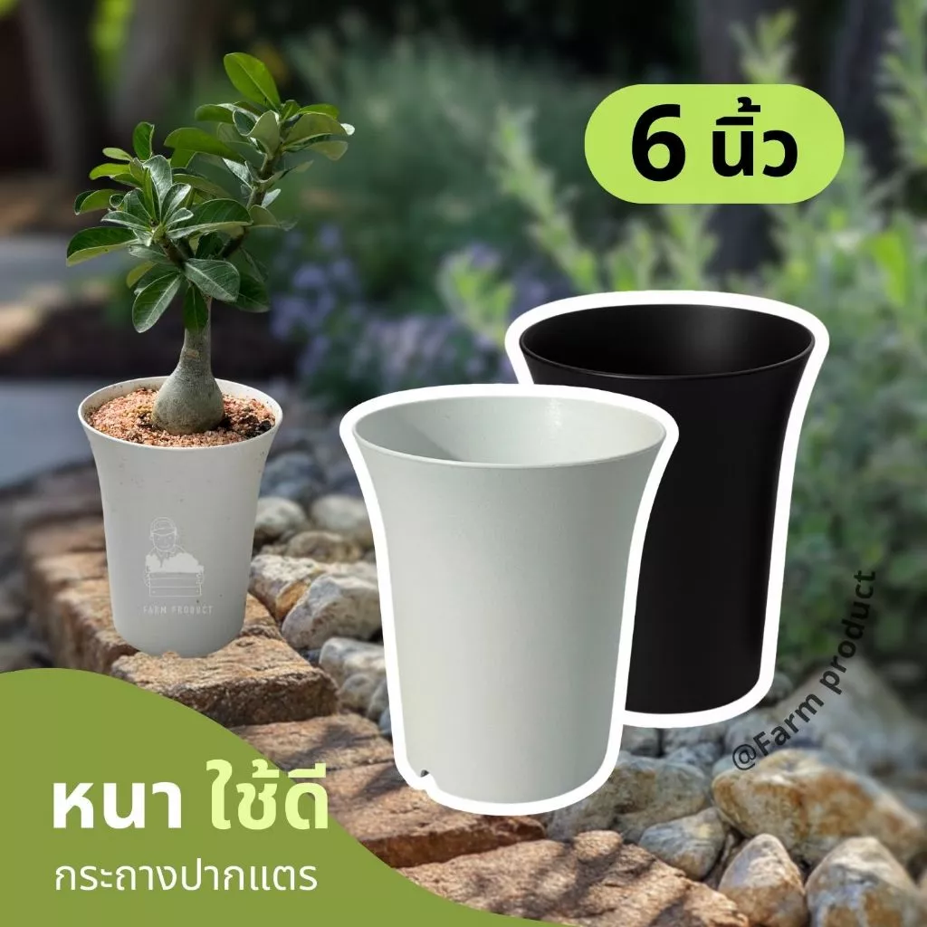 กระถางปากแตร 6 นิ้ว. ผิวด้าน กระถางพลาสติกดำ กระถางแคคตัส