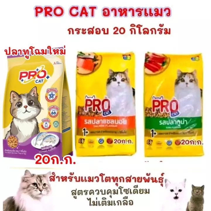 เทศกาลโปรเเคท [ กระสอบ 20 ก.ก.] PRO CAT อาหารแมว 26% รสปลาทู ปลาทูน่า แซลมอน: อาหารแมว PRO CAT ประกอบด้วยส่วนผสม 26% รส