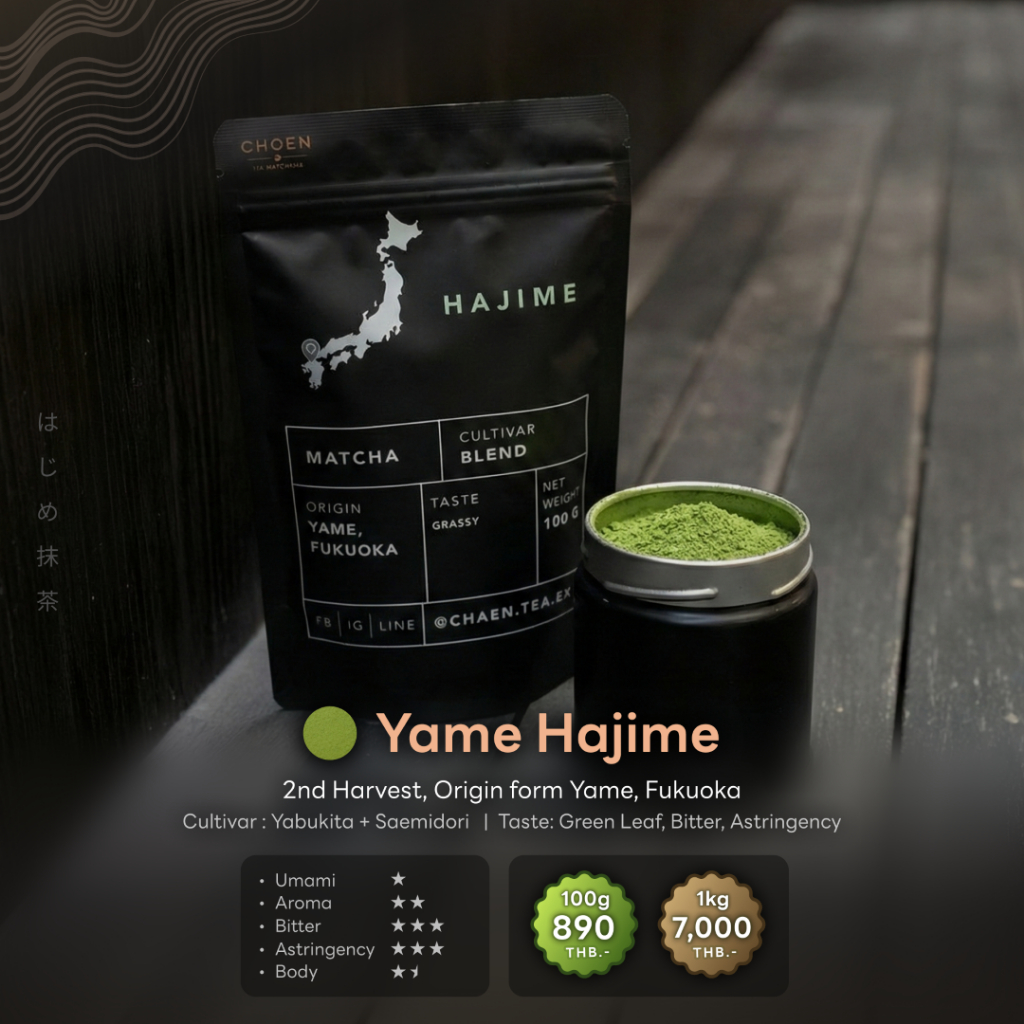 Hajime Matcha 100g : ชาเขียวมัทฉะฮาจิเมะ เมืองยาเมะ จังหวัดฟูกุโอกะ