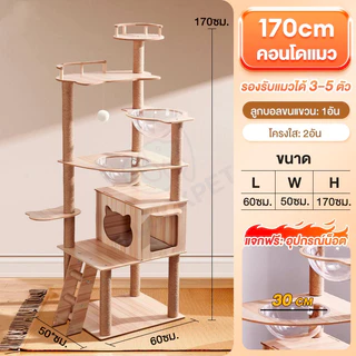 คอนโดแมว คอนโดแมวไม้ บ้านแมว 200CM เหมาะสำหรับเลี้ยงน้องแมว 4-6ตัว เสาลับเล็บ ขนาดใหญ่ สูง170CM