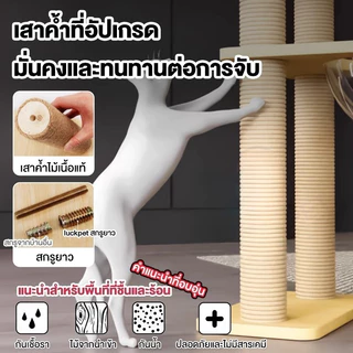 คอนโดแมว คอนโดแมวไม้ บ้านแมว 200CM เหมาะสำหรับเลี้ยงน้องแมว 4-6ตัว เสาลับเล็บ ขนาดใหญ่ สูง170CM