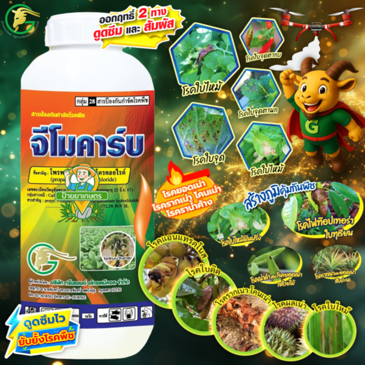 จีโมคาร์บ 1 ลิตร กำจัด โรครากเน่า โคนเน่า เน่าดำ ไฟทอปธอรา ตากบ ตาเสื้อในเผือก โพรพาโมคาร์บ 72.2% SL