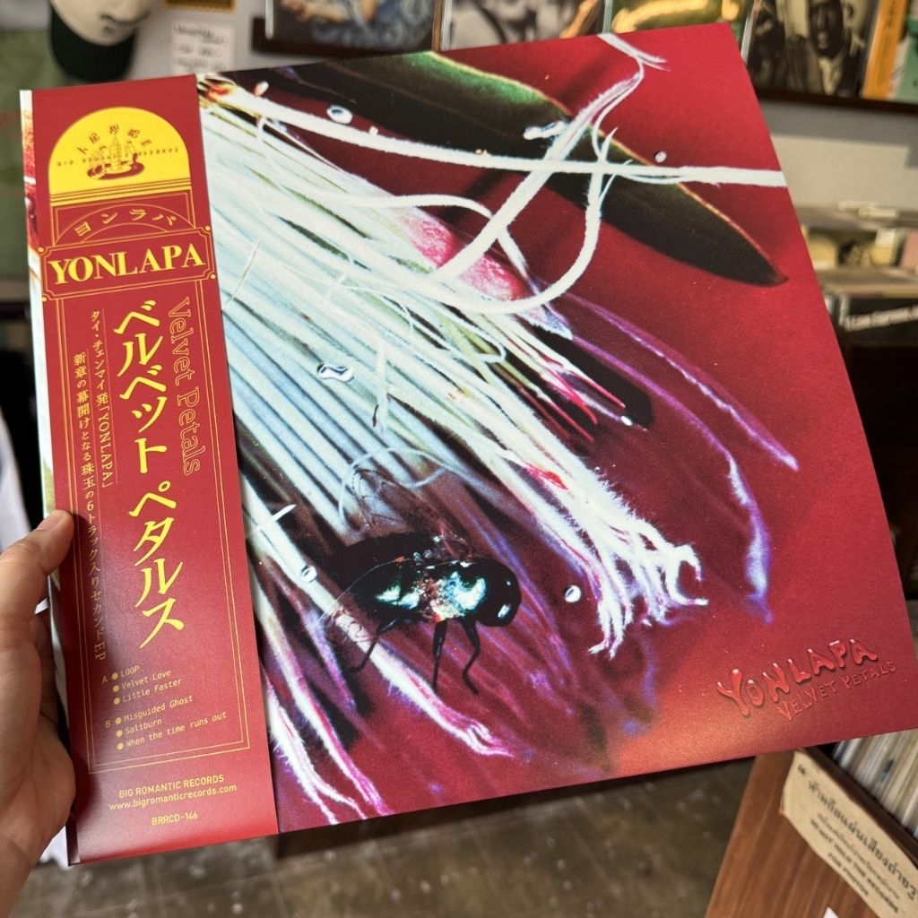 Vinyl Record แผ่นเสียง YONLAPA -  Velvet Petals ใหม่  NEW Color Vinyl แผ่นสี