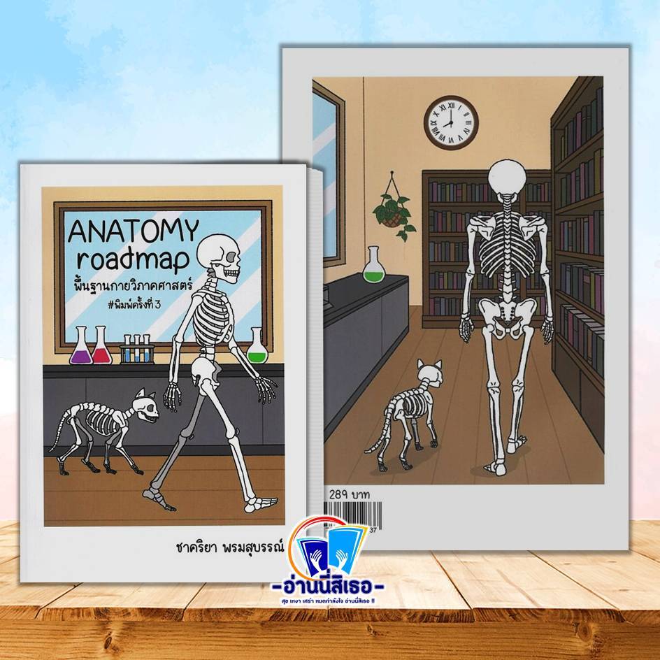 ANATOMY roadmapพื้นฐานกายวิภาคศาสตร์