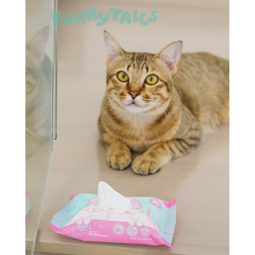 ทิชชู่เปียก ผ้าเปียก สำหรับสัตว์เลี้ยง Furry tails eco pet wipes ผลิตในประเทศไทย