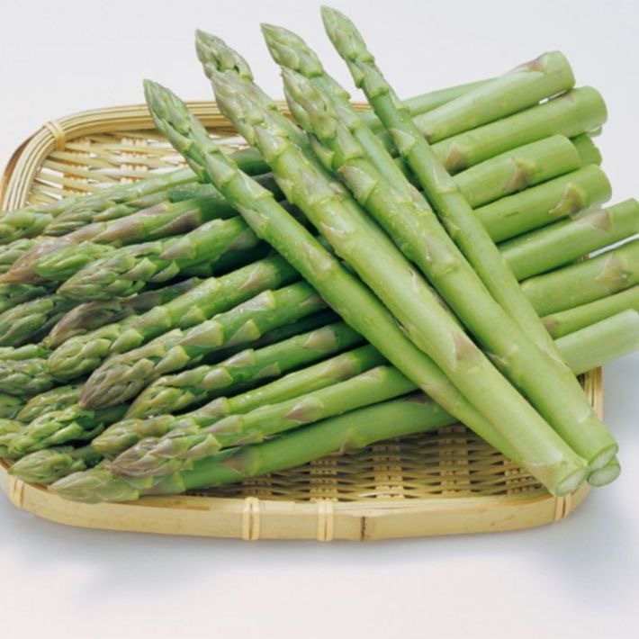 Asparagus Seeds เมล็ดหน่อไม้ฝรั่ง / หน่อไม้ฝรั่งม่วง / หน่อไม้ฝรั่งขาว / หน่อไม้ฝรั่ง Asparagus Seeds(10seeds) ราคา ถูกที่สุด ดีลบีเคเค แกลเลอรีภาพที่ 9