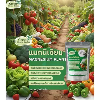 แมกนีเซี่ยม แมกนีเซี่ยมซัลเฟต Magnesium Sulphate สังเคราะห์แสง ใบเขียว ขนาด 1 กิโลกรัม ละลายน้ำ 100% แบ่งขายจากกระสอบ