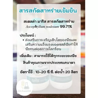 สเตลล่ามาริส เอสทีม สารสกัดสาหร่ายเข้มข้น 99.71% เร่งราก แตกกอ เสริมความแข็งแรงให้พืช 1 ลิตร