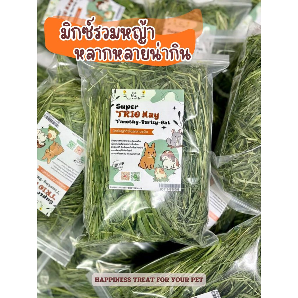 On the growth - Trio Hay(ทิม+บาร์เลย์+โอ๊ต) สำหรับสัตว์ฟันแทะ
