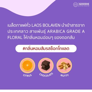 Goodie Coffee Roaster เมล็ดกาแฟ Laos Bolaven ลาว โบลาเวน ปากซอง